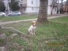 IMG_4572.JPG