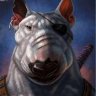 zorge