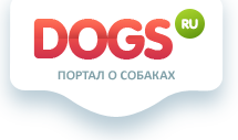 Dogs.ru Форум о cобаках
